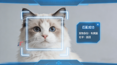 “可托身份+电商办事”重生态